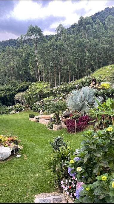 Sitio Com Piscina Natural E Cascata, Com Linda Vista Em Lumiar. Buitenkant foto